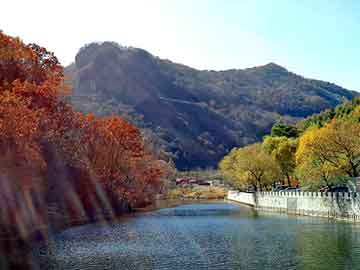 新澳天天开奖资料大全旅游团，最后一个乘客